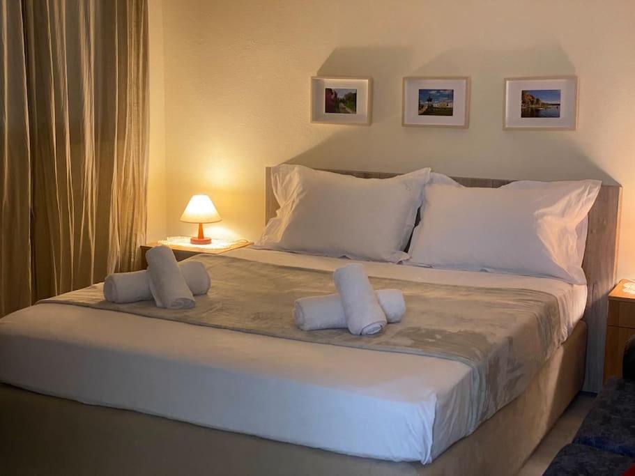 Dani Two Bedroom Home In Center Of تيرانا المظهر الخارجي الصورة